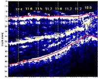 /album/bodymetrix-adipometr/scan3-jpg/